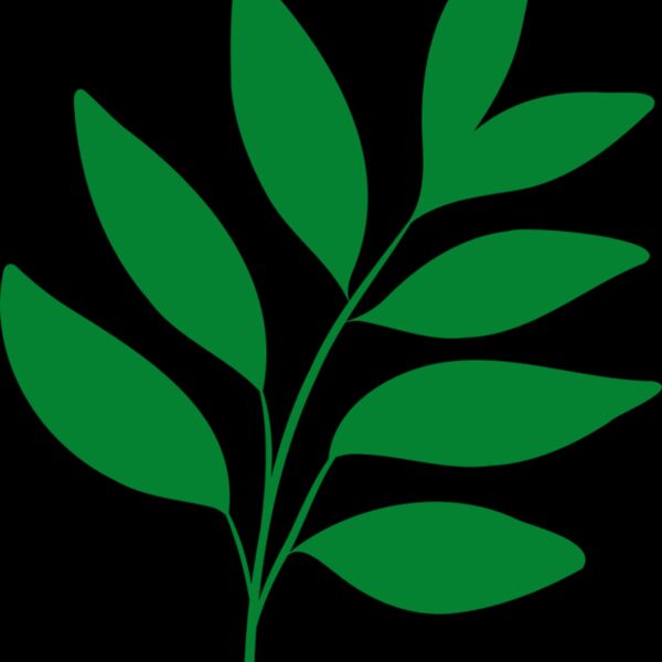 17 Leaves Thumbnail