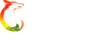 Coyote Test