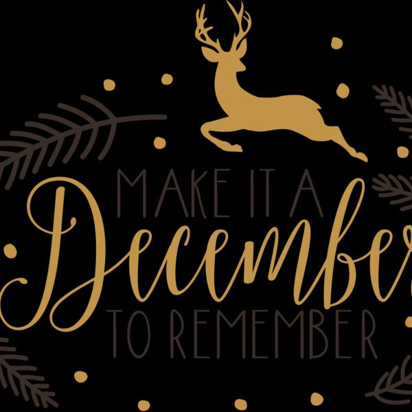 December To Remember (0654) Thumbnail