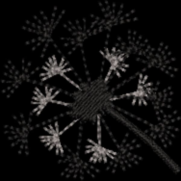 Dandelion (0335) Thumbnail