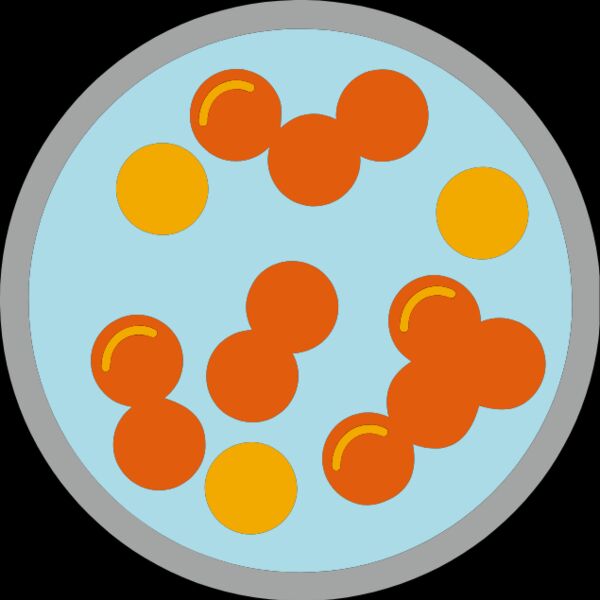 Petri Dish Orange Thumbnail
