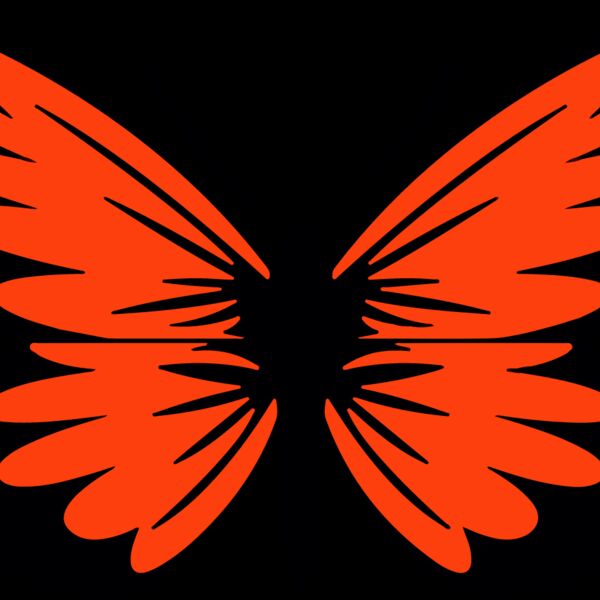 Orange Butterfly Thumbnail
