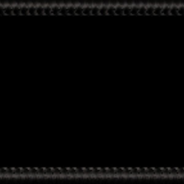 Marrow like patch border 3 5 x 1 5 inches Thumbnail