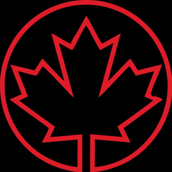 CA FLAG 03 Thumbnail