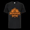 Everyday Heavy Cotton Men/Unisex Tee Thumbnail