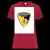 Everyday Heavy Cotton Ladies' Tee Thumbnail